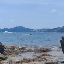 Thumbnail of pic_Cindy_Tse_035.jpg
