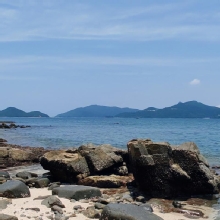 Thumbnail of pic_Cindy_Tse_037.jpg