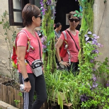 Thumbnail of pic_CW_Ho_074.jpg