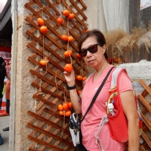 Thumbnail of pic_CW_Ho_100.JPG