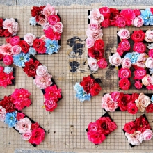 Thumbnail of pic_Lee_Shing_013.JPG