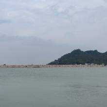 Thumbnail of pic_Cindy_Tse_005.jpg