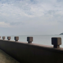 Thumbnail of pic_Cindy_Tse_010.jpg
