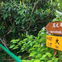Thumbnail of pic_Cindy_Tse_011.jpg