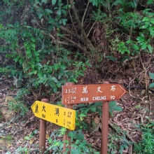 Thumbnail of pic_Cindy_Tse_050.jpg