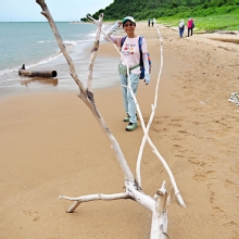 Thumbnail of pic_Lee_Shing_017.JPG