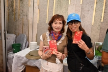 pic_cw_Ho_120.JPG (242209 bytes)